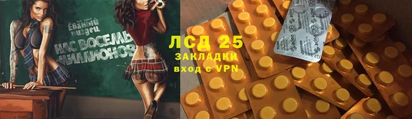 ПСИЛОЦИБИНОВЫЕ ГРИБЫ Балахна